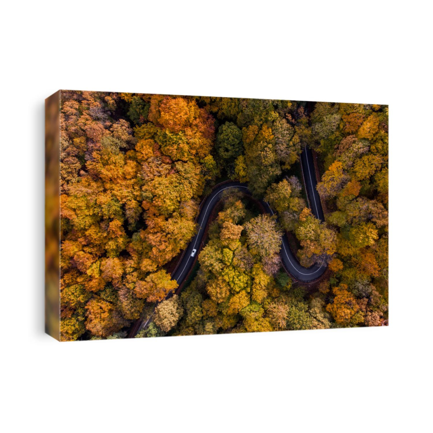 Aerial view of curvy road in beautiful autumn forest. Top view of roadway with autumn colors. Road on Fruska gora mountain in Serbia,Vojvodina