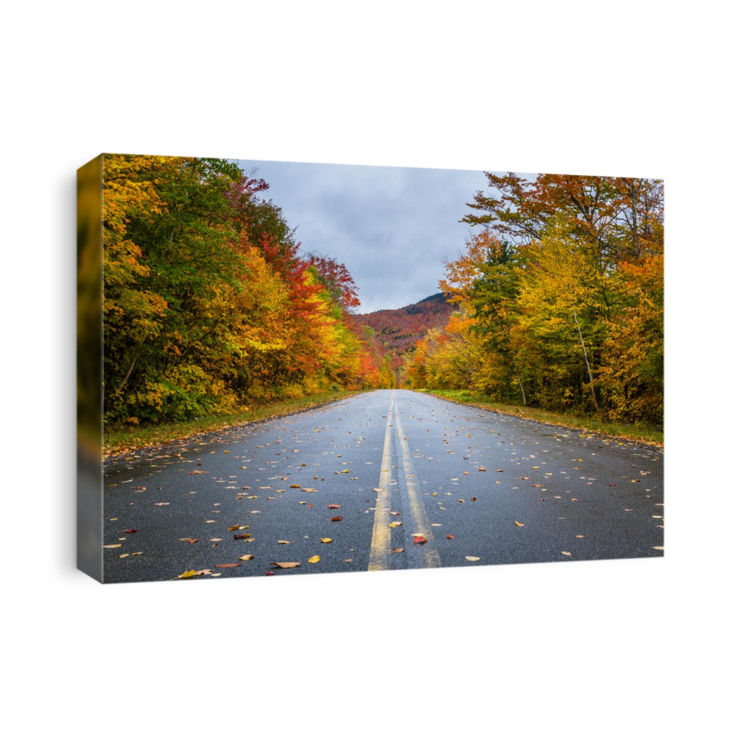 Deserted Straight Mountain Road on a Rainy Autumn Day. Some Fallen Leaves are on the Wet Asphalt. Beautiful Fall Colors. Adirondacks, Upstate New York