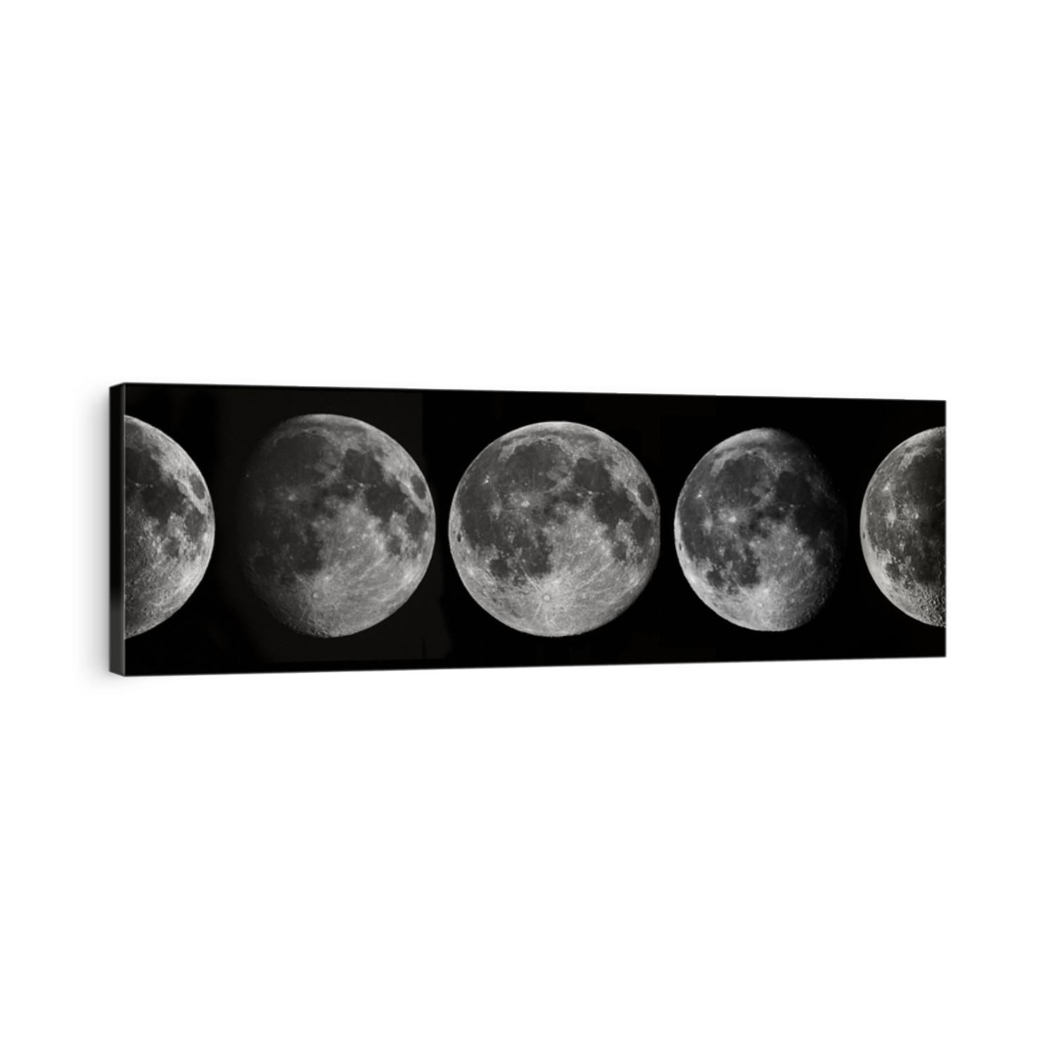 Phases of the Moon