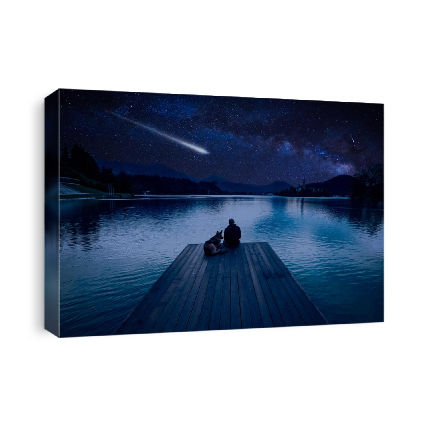 Man with dog looking at Perseid Meteor Shower at lake Bled