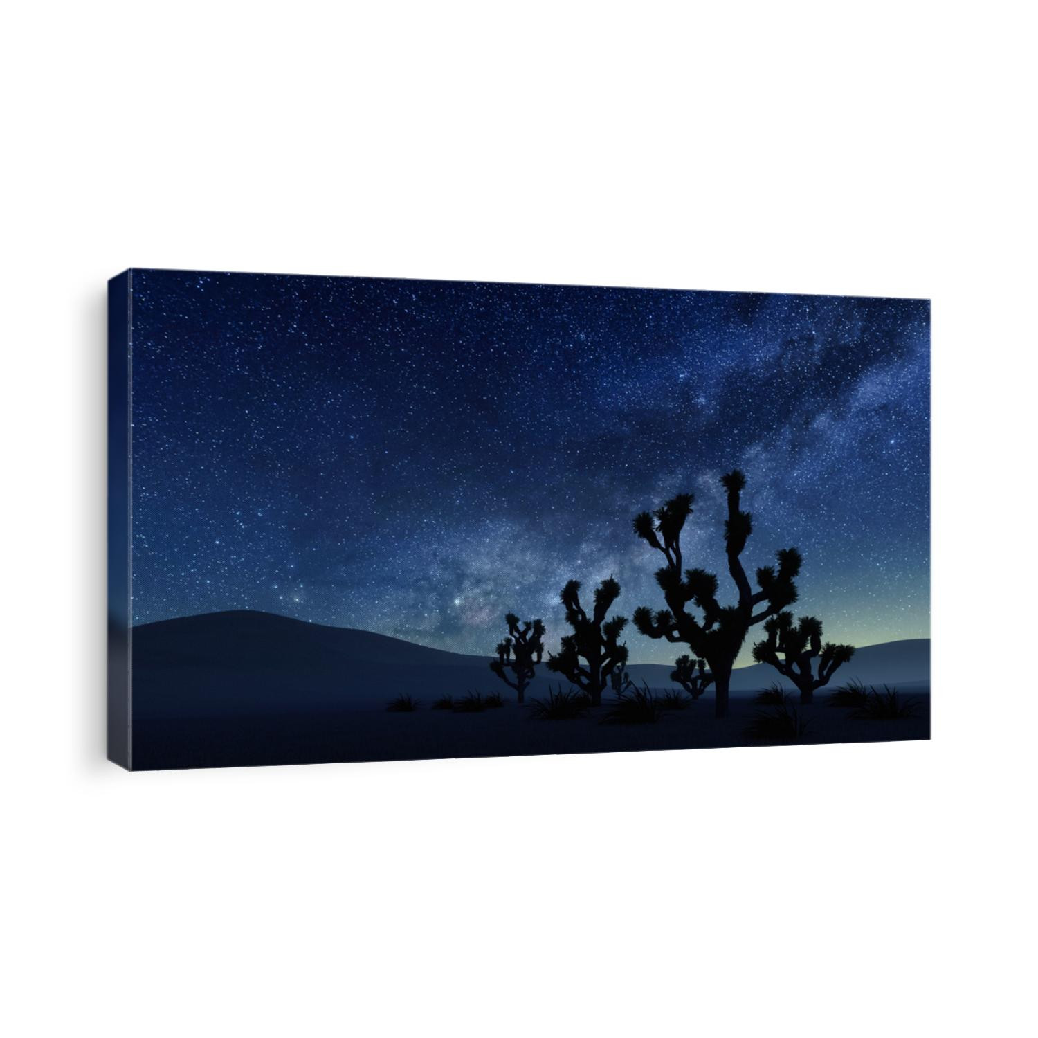 Scenic desert landscape with Joshua tree silhouettes under fantastic starry night sky with Milky Way galaxy stars. With no people nature background 3D illustration from my own 3D rendering.
