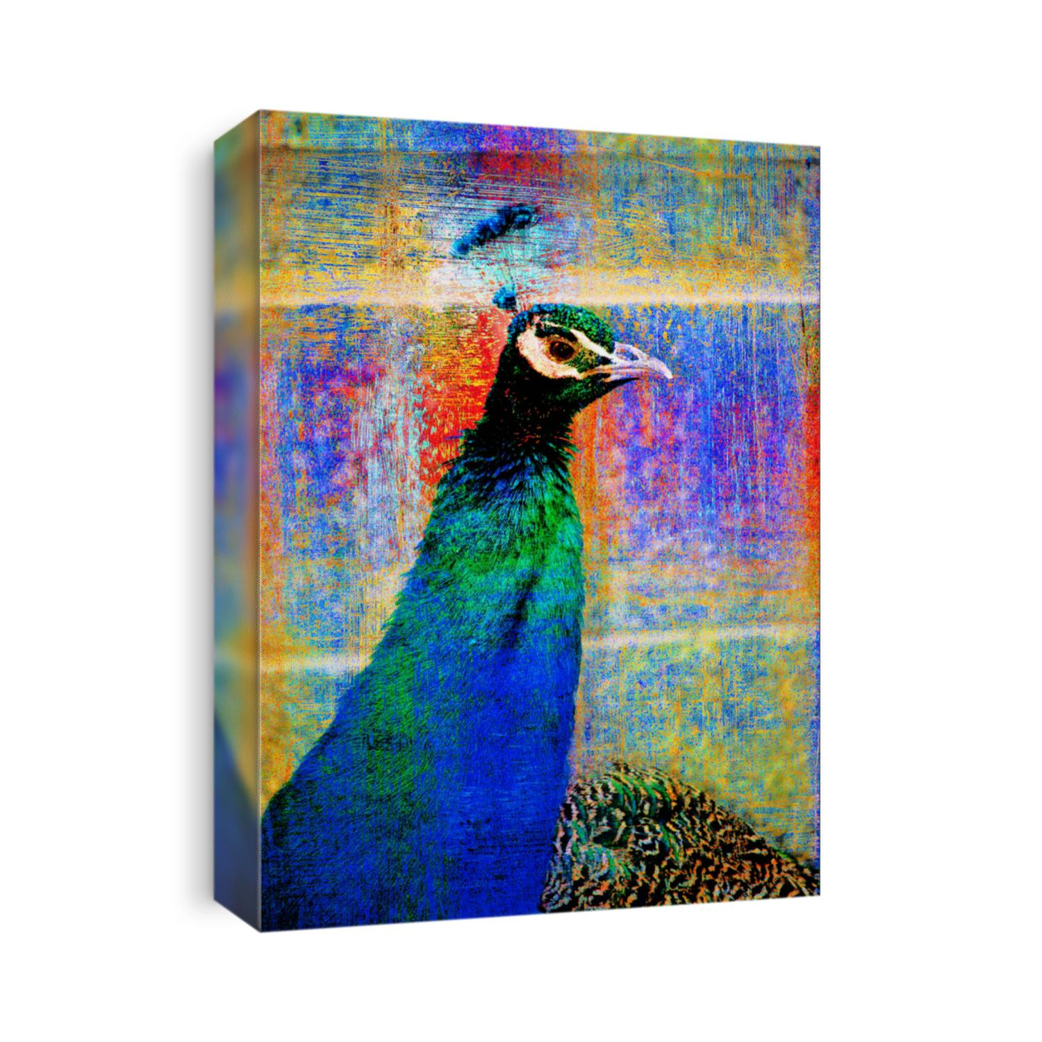 Colorful Rainbow Peacock Background