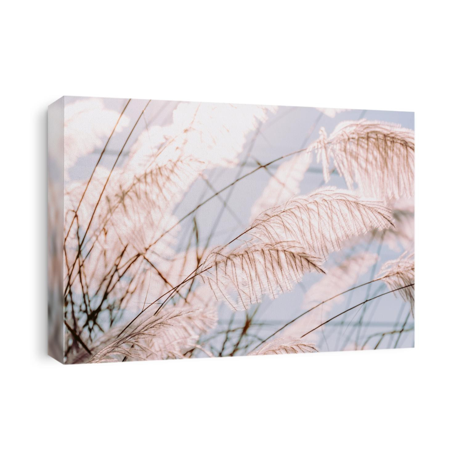 Grass flowers field, White grass in nature with sunlight.
Landscape of winter meadow grassland.
A colorful flower grass flower and morning sunrise light.
Summer flowers meadow with vintage style.