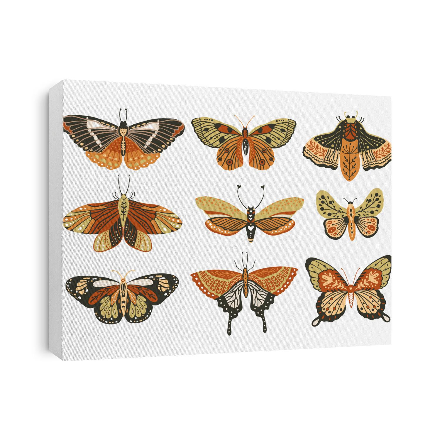 Boho vector art design with bohemian butterfly. Isolated insect icon set, hand drawn illustration ornate collection on a white background.
