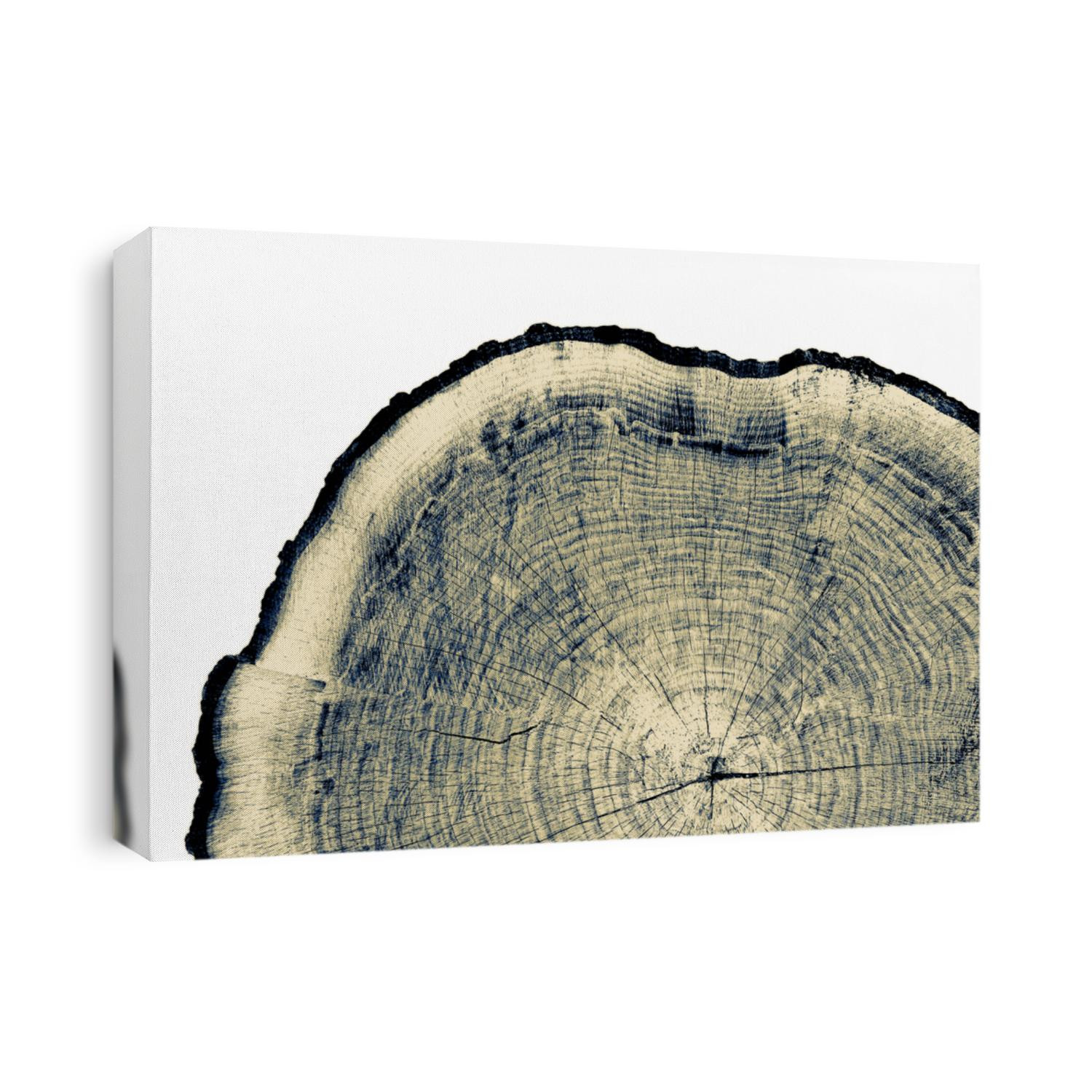 Vintage neutral monotone piece of round wood from a large tree. Rough textured surface with rings, cracks and wave pattern. Flat rustic wooden background.