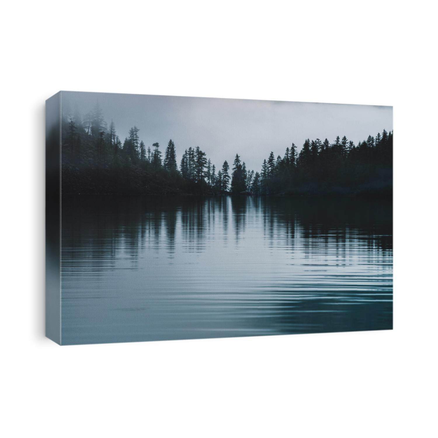 Silhouettes of pointy tree tops on hillside along mountain lake in dense fog. Reflex of pines to calm water of highland lake. Alpine tranquil landscape at early morning. Ghostly atmospheric scenery.