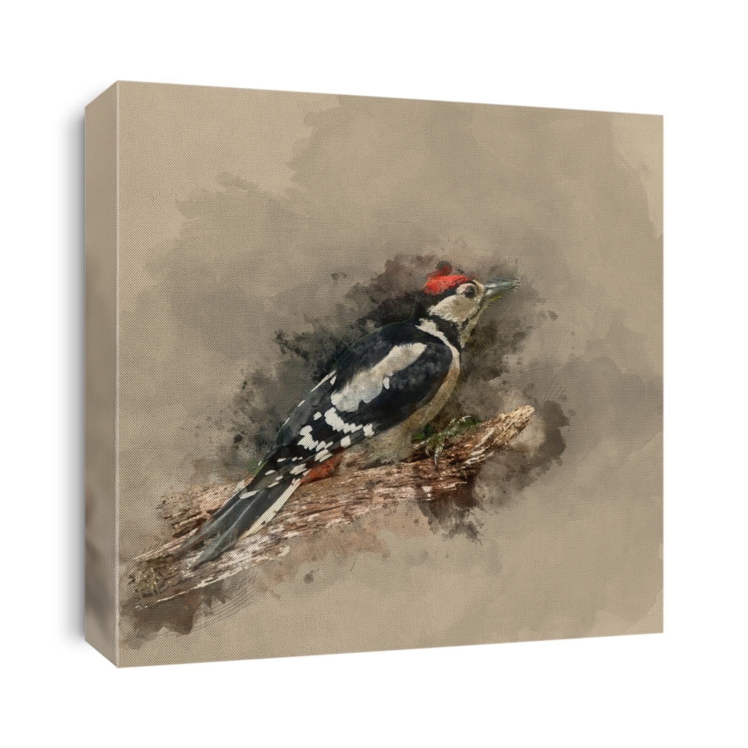 Watercolour painting of Beautiful Great Spotted Woodpecker bird Dendrocopos Major on tree stump in forest landscape setting