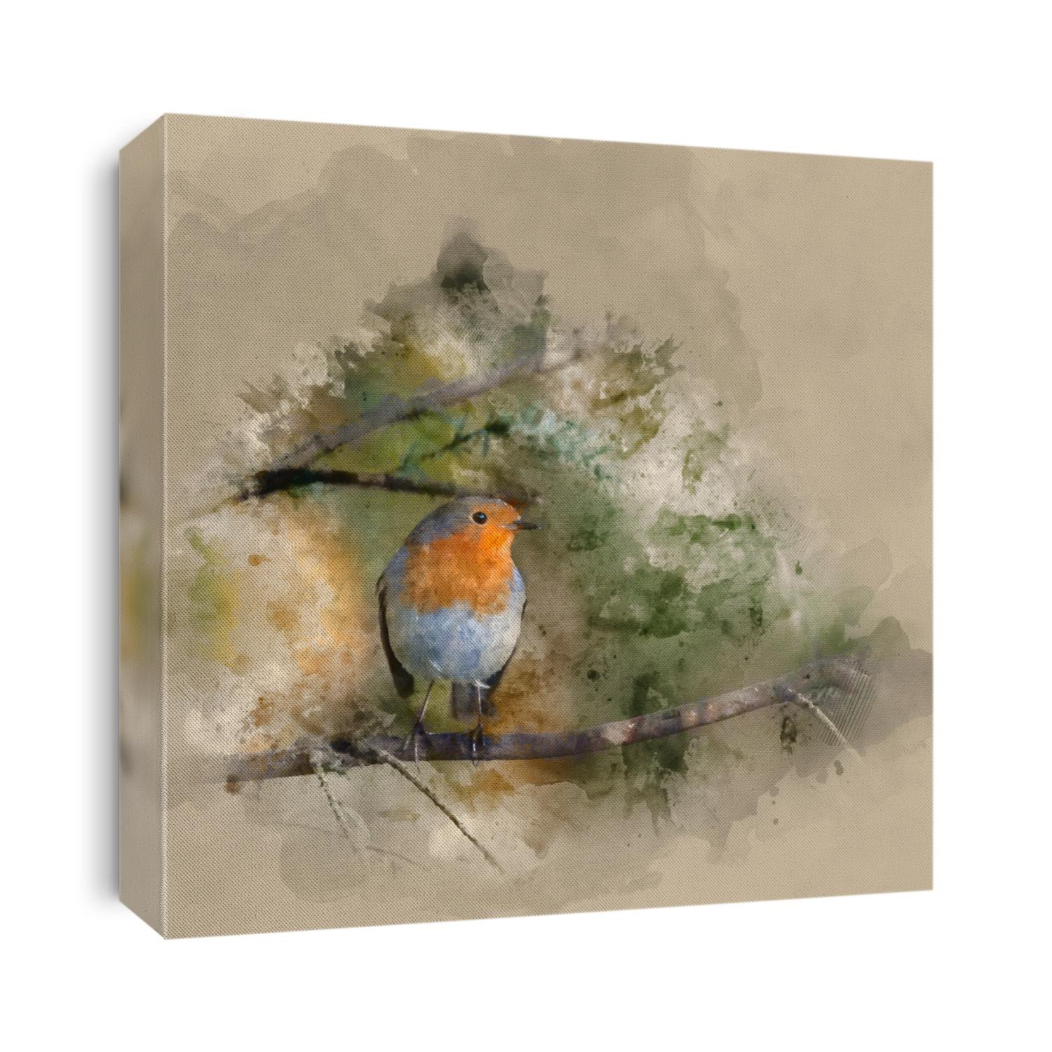 Digital watercolor painting of Beautiful portrait of European Robin Redbreast Erithacus Rubecula sitting in tree in sunny woodland landscape
