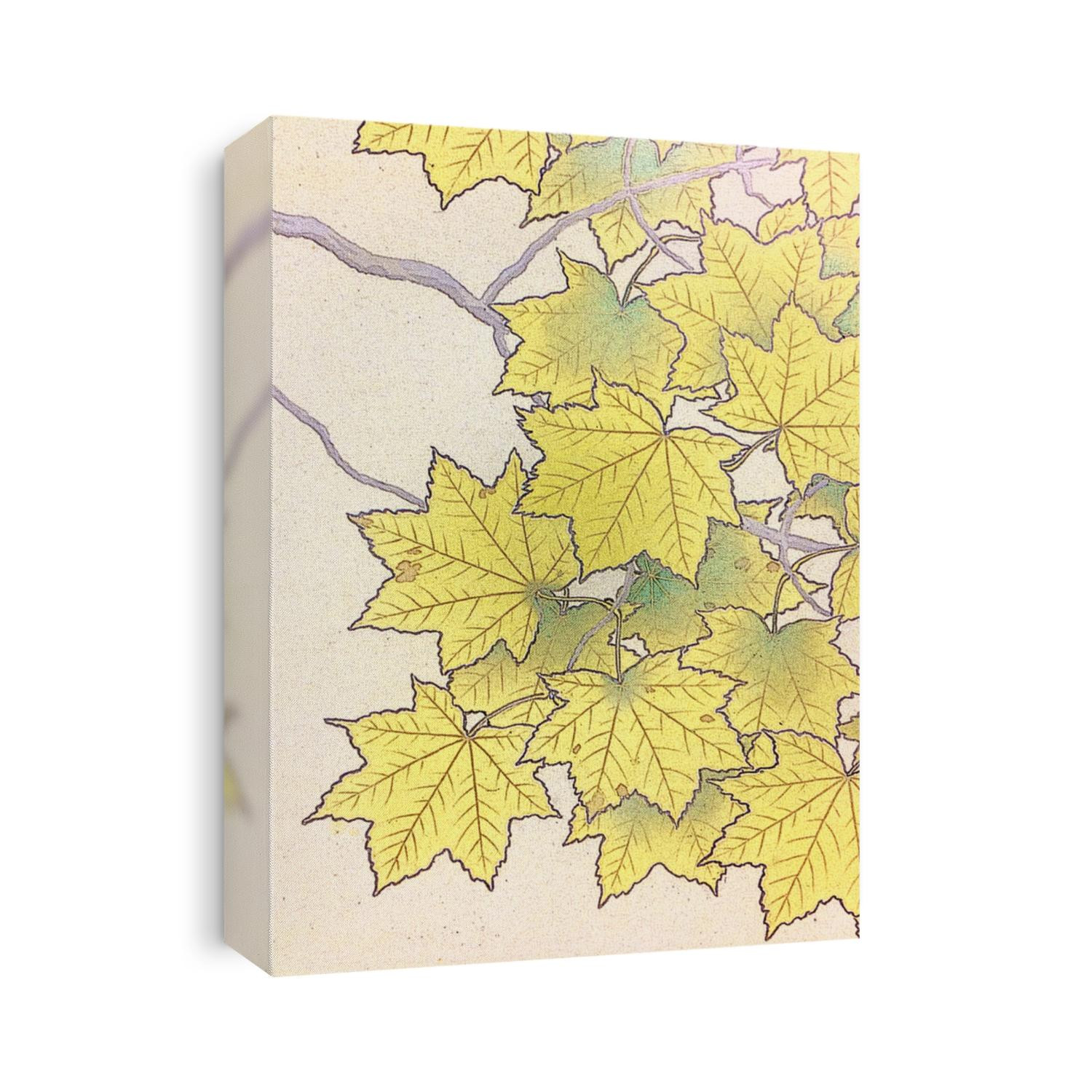 art plaint of yellow leave autumn texture pattern background