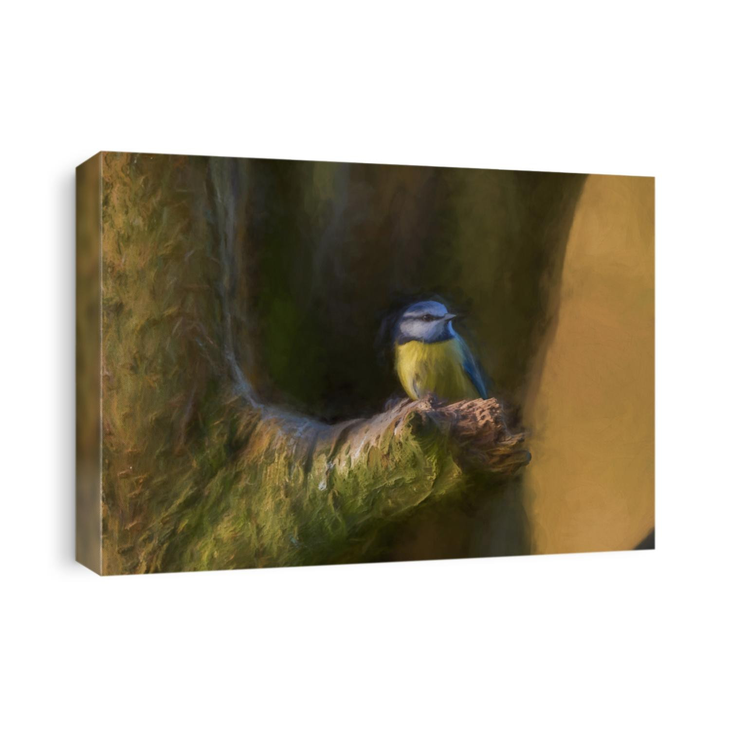 Digital painting of a Eurasian Blue Tit, Cyanistes caeruleus against a natural woodland background during winter in the UK.