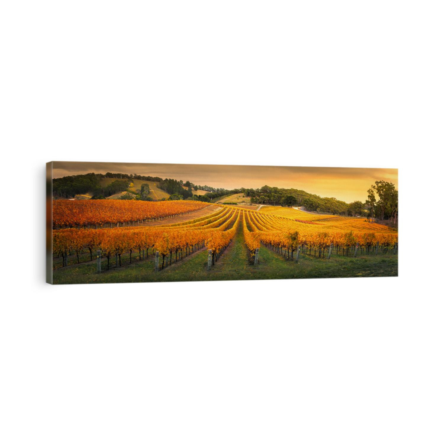Gorgeous Vineyard in the Adelaide Hills