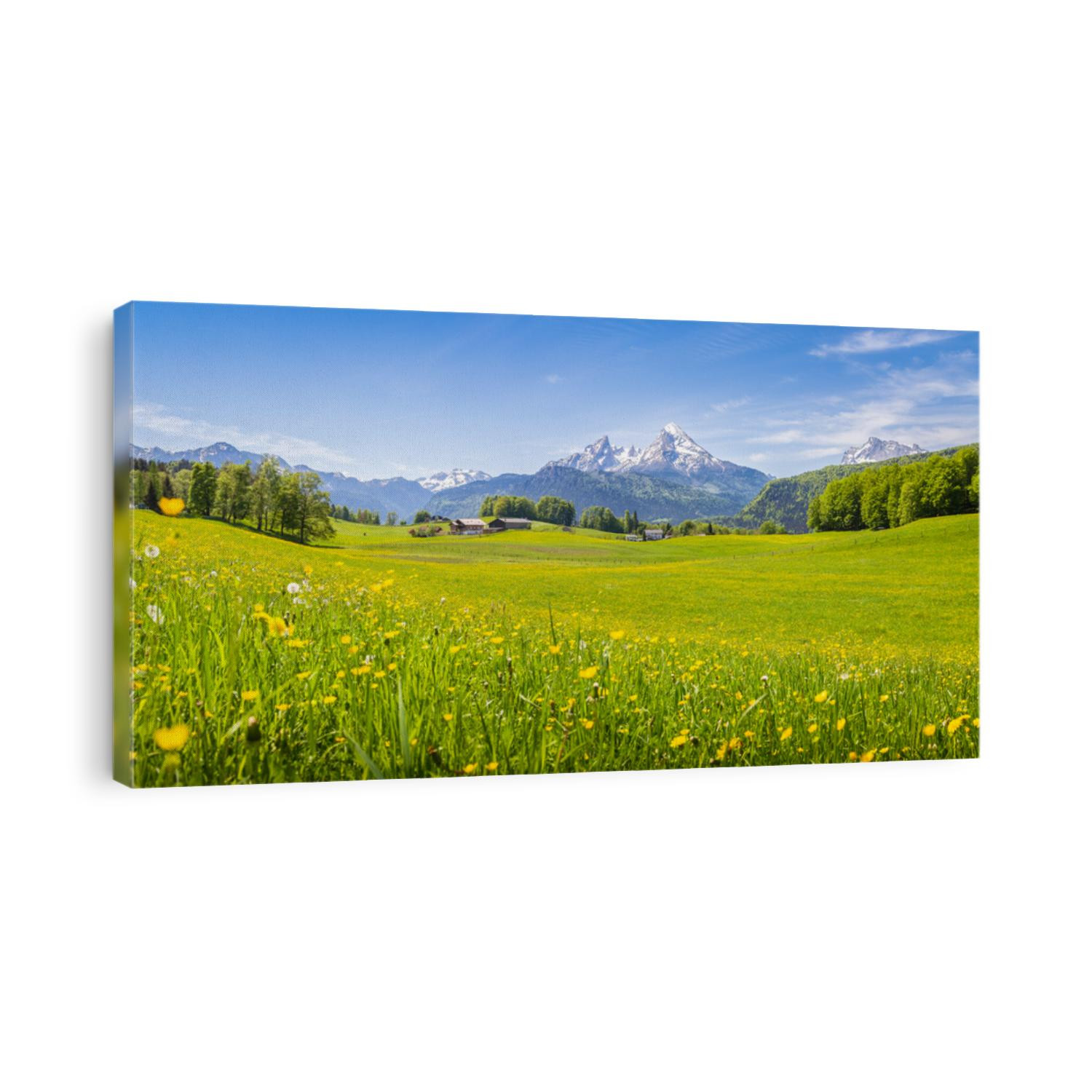 Panoramic view of idyllic mountain scenery in the Alps with fresh green meadows in bloom on a beautiful sunny day in springtime, National Park Berchtesgadener Land, Bavaria, Germany