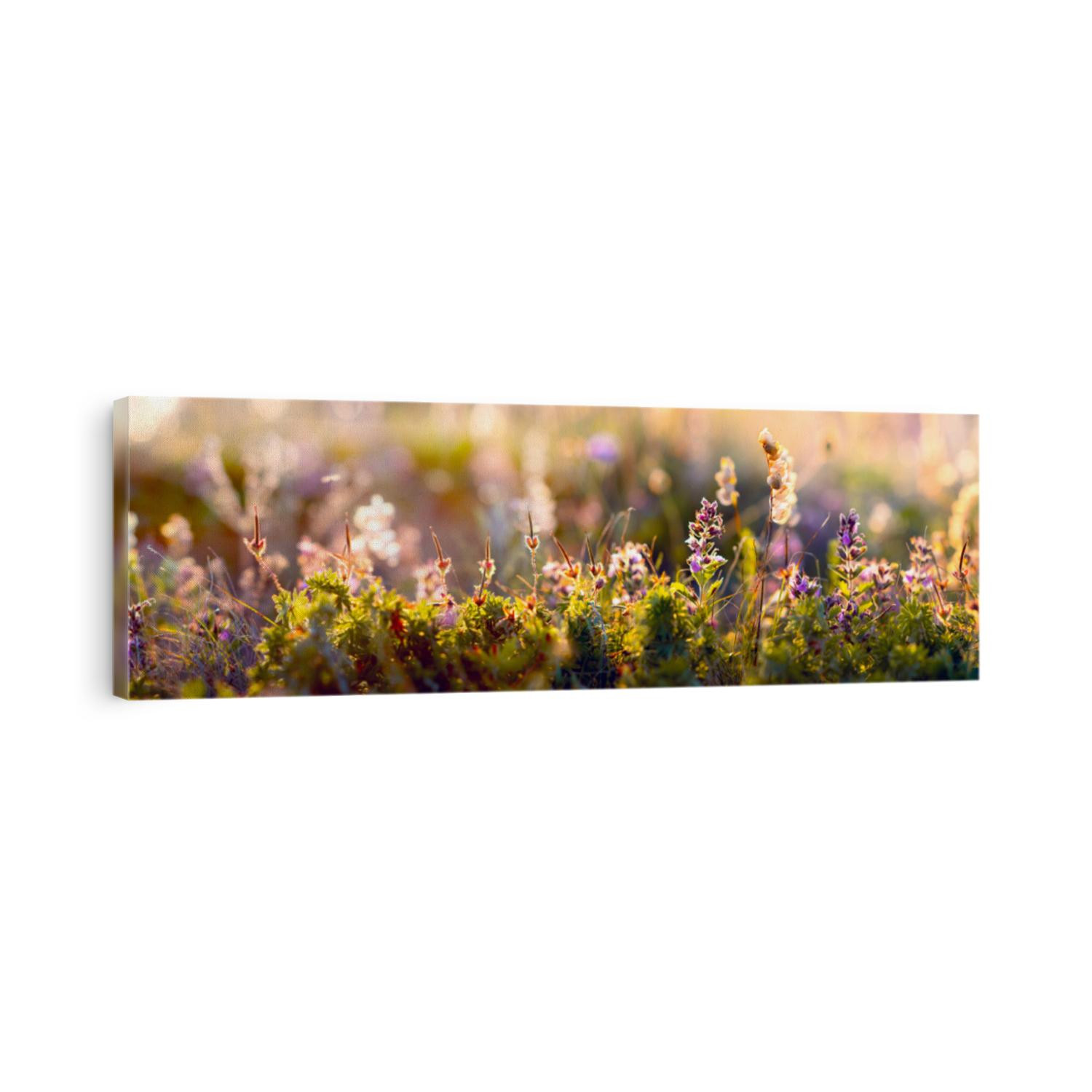 wild blue flowers and grass closeup, horizontal panorama photo