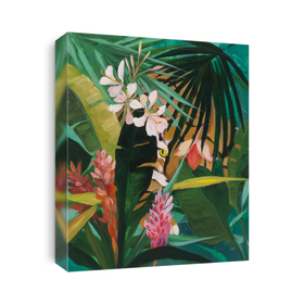 Jungles